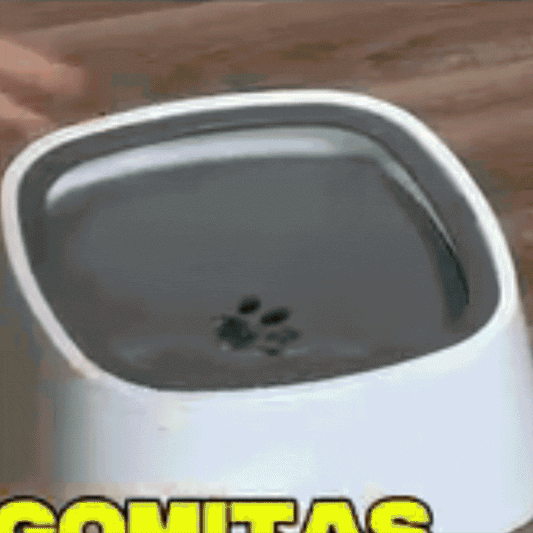 Dispensador De Agua Mascotas "AQUA PETS"